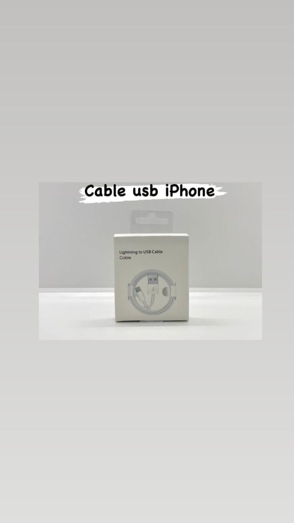 Cables iPhone USB Sin logo